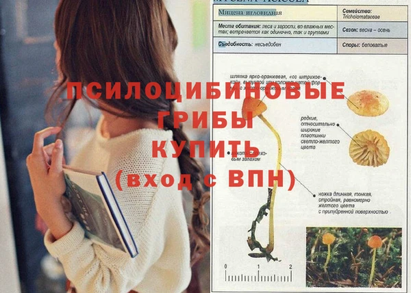 ГАЛЛЮЦИНОГЕННЫЕ ГРИБЫ Абдулино