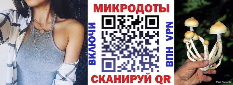 Галлюциногенные грибы Psilocybe  наркотики  ссылка на мегу зеркало  Задонск 